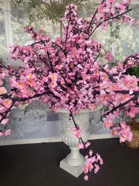 Cherry Blossom 2.jpeg
