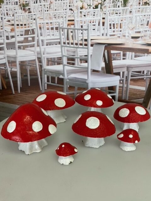 Mushrooms.jpeg