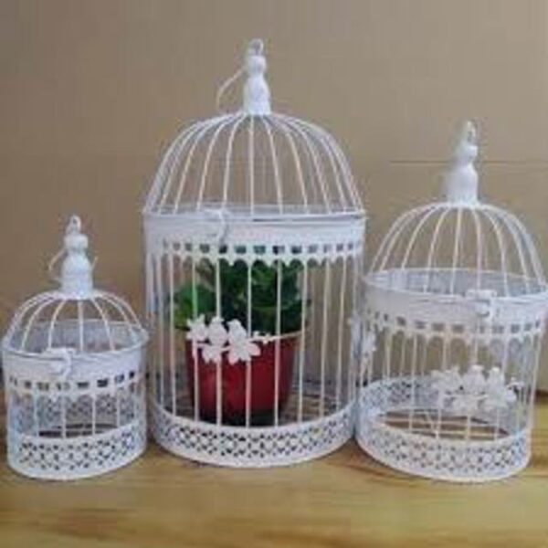 Bird Cages.jpg