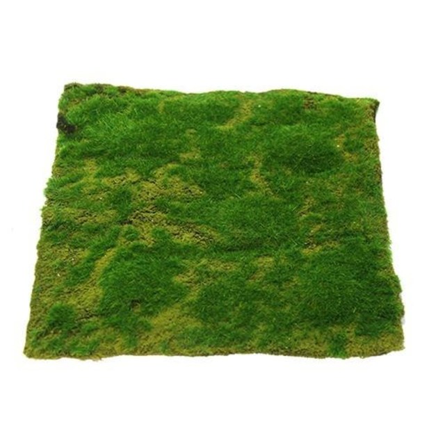 Grass Matt.jpg