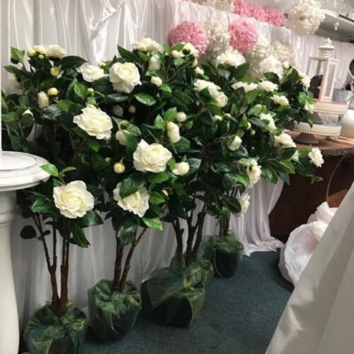 Topiary Rose Trees Get Set Event Hire