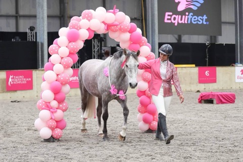 Equifest 2